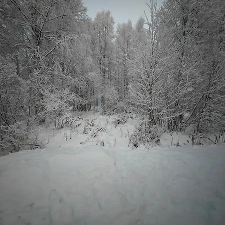 Northern Path روفانييمي